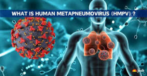HMPV Virus